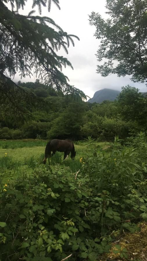 Дома для отпуска Killarney Holiday Village Килларни-48