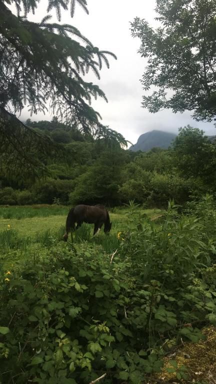 Дома для отпуска Killarney Holiday Village Килларни-72